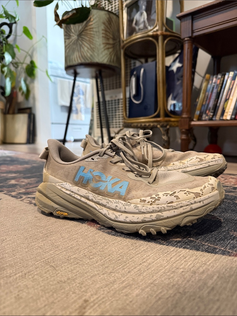 Hoka Speedgoat 6 trail shoe